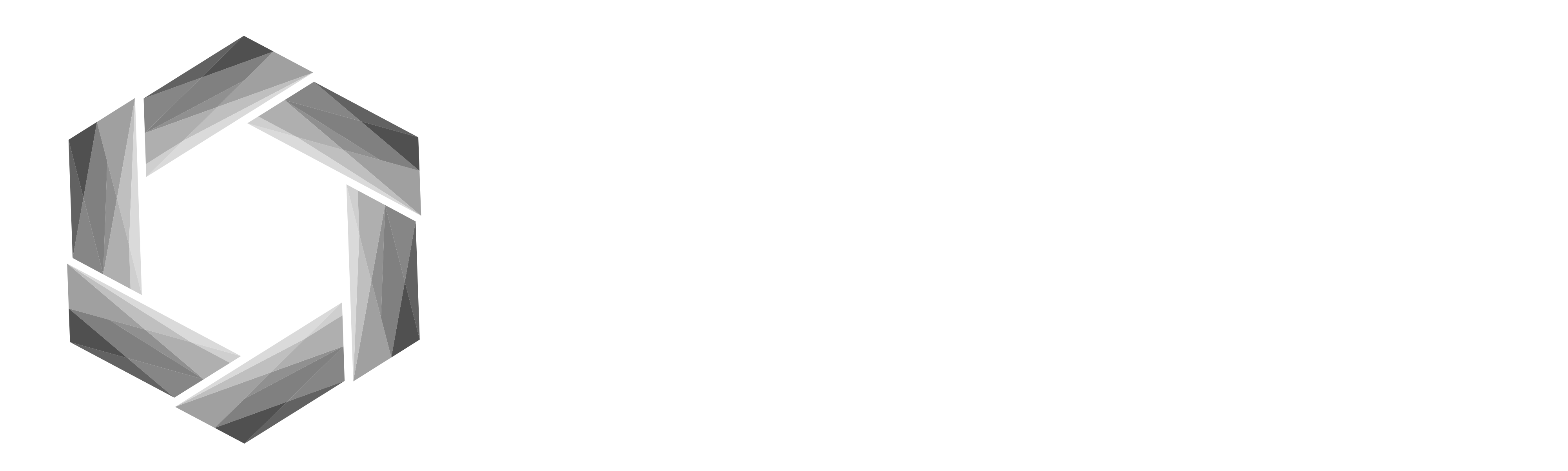 FencingMind Tracker